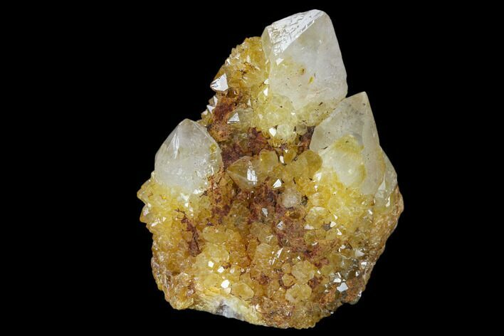 Sunshine Cactus Quartz Crystal Cluster - South Africa #115154